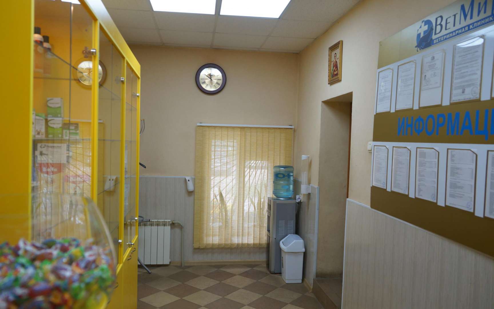 Ветеринары на дом ульяновск. Ивановская 26/105 Иваново ветеринарный дом.